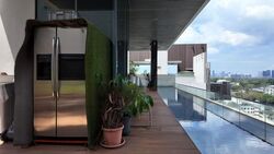 Leedon Residence (D10), Condominium #462699911